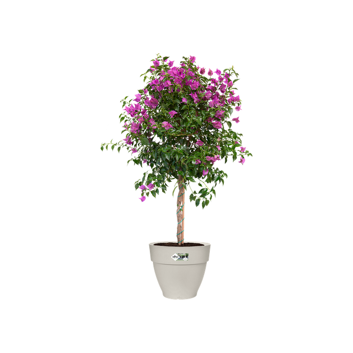 vibia campana rund 40cm seidenweiß